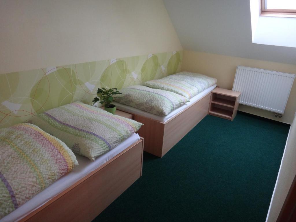 Penzion U Bednaru Pavlov Room photo